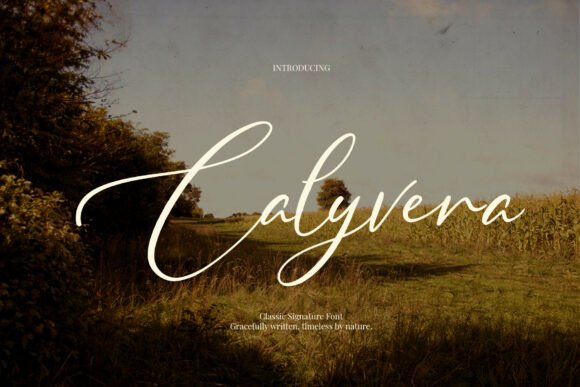 Calyvera: A Signature Script Font for Your Brand