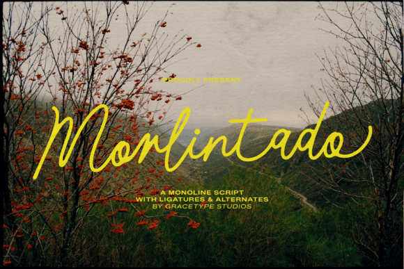 Morlintado: The Script Font for Scroll-Stopping Marketing