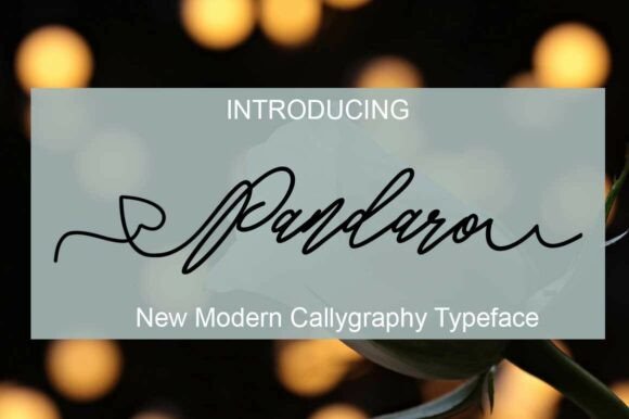 Pandaro: A Modern Script Font for Your Brand