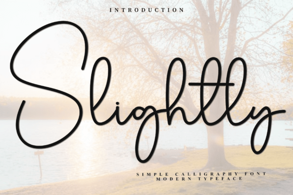 Slightly: A Festive Script Font for Web Design