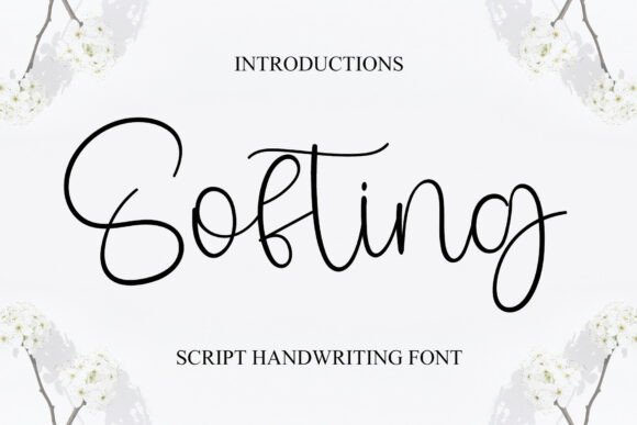Softing: A Dainty Script Font for Elegant Branding